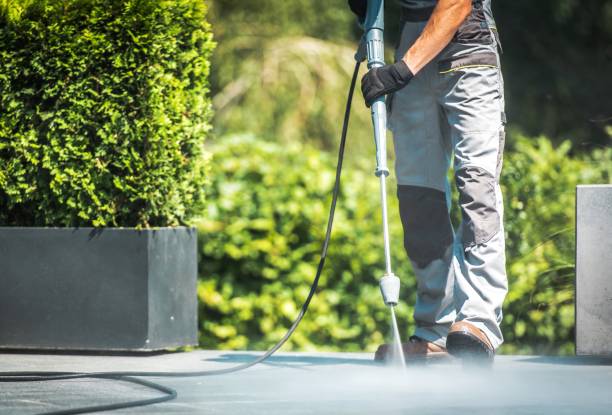 Best Driveway Pressure Washing  in New Haven, IN